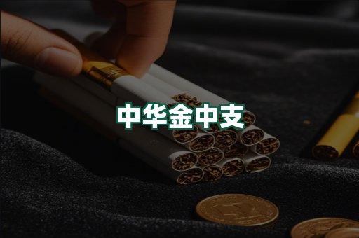 中华金中支